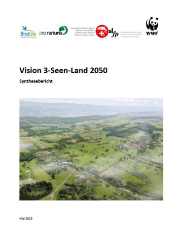 Vision Seeland 2020