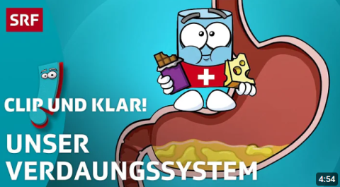 ideenset_dossierweitblick_unserekoerper_clipundklarverdauung
