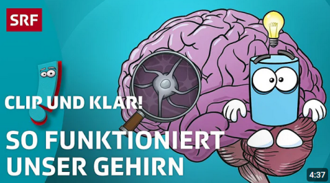 ideenset_dossierweitblick_unserekoerper_clipundklarwiefunktioniertunsergerhirn