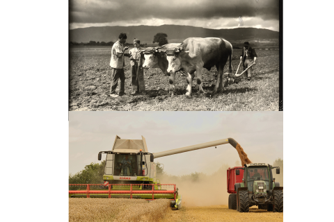 Eine Gegenüberstellung einer historischen und einer zeitgemässen Fotoaufnahme von Landwirtschaft
