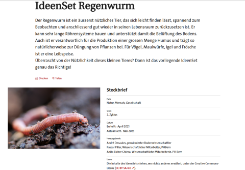 ideenset_boden_teaserbild_ideensetregenwurm