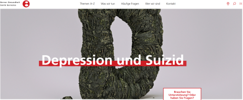 Depression und Suizid