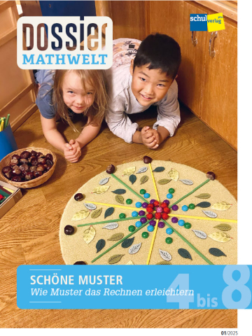 ideenset_dossiermathwelt_schoenemuster_teaserdidkommentar