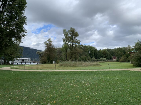 Pfahlbauten bei Sutz