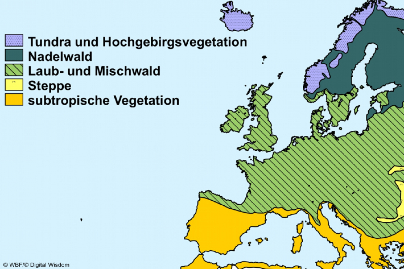 In der Vegetationszone Nordeuropas | PHBern