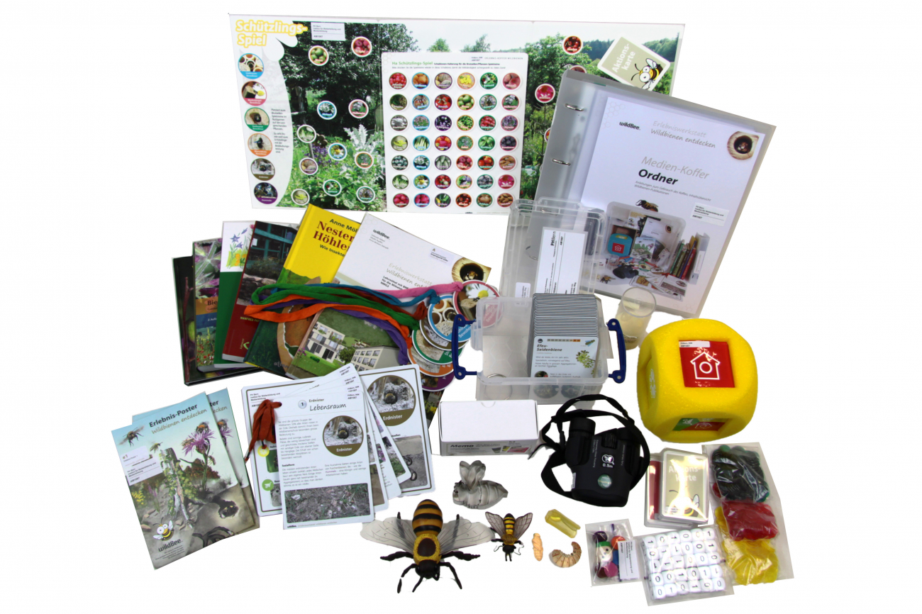 AM1067_MedienkofferWildbienen