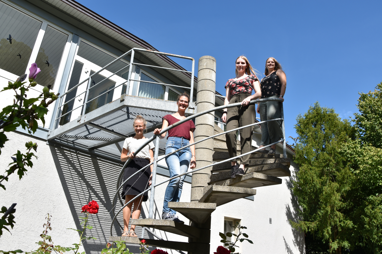 Praxisbegleitgruppe Berufseinstieg