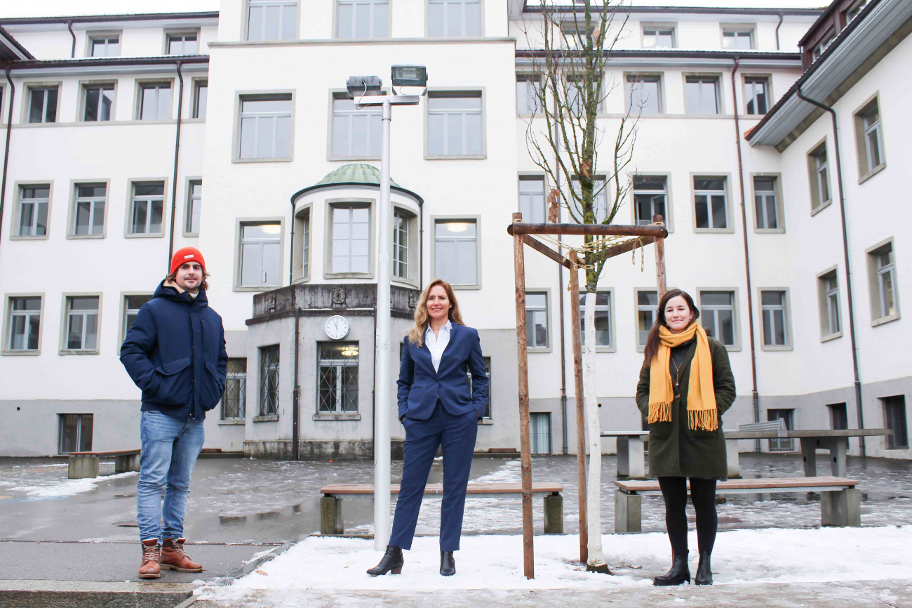 Forschung zum Berufseinstieg Education