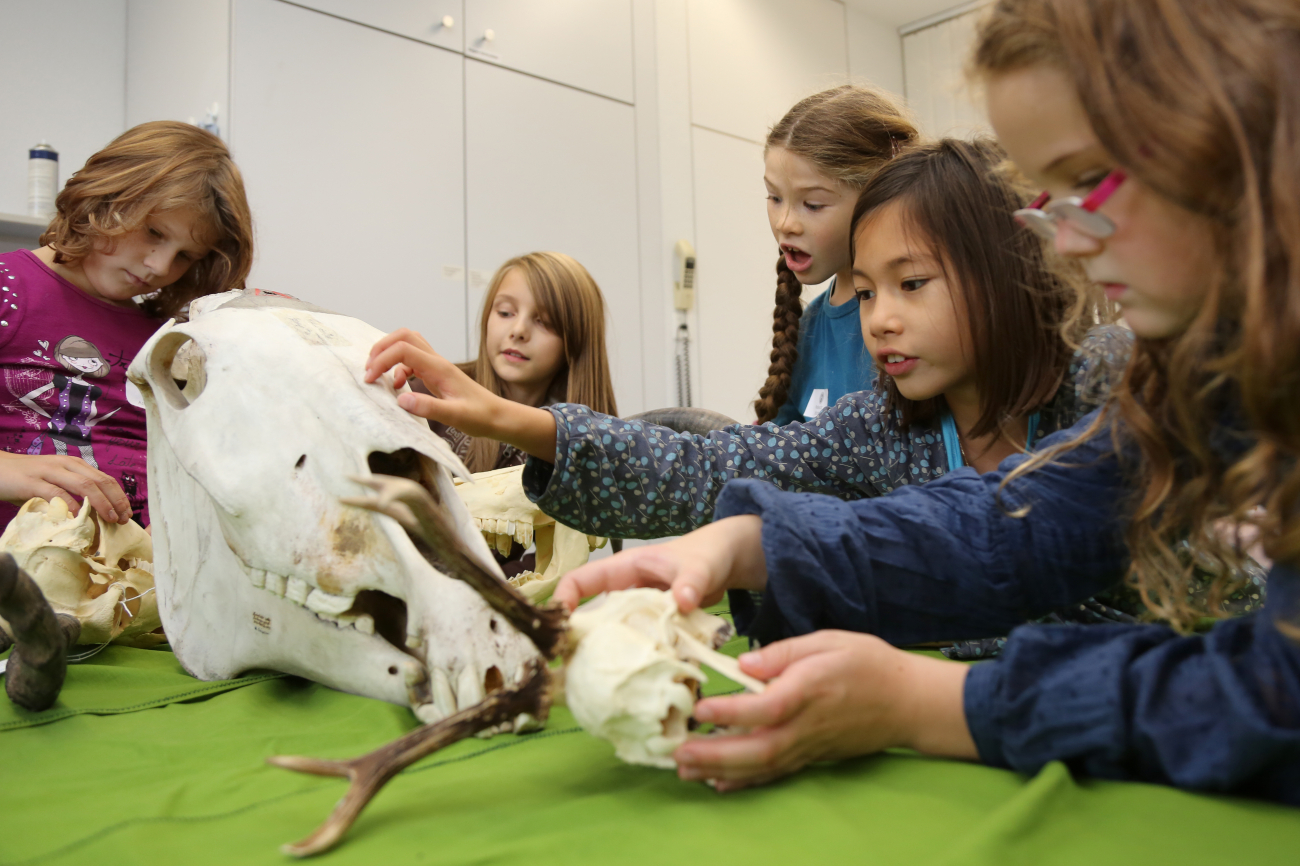 Naturhistorisches Museum