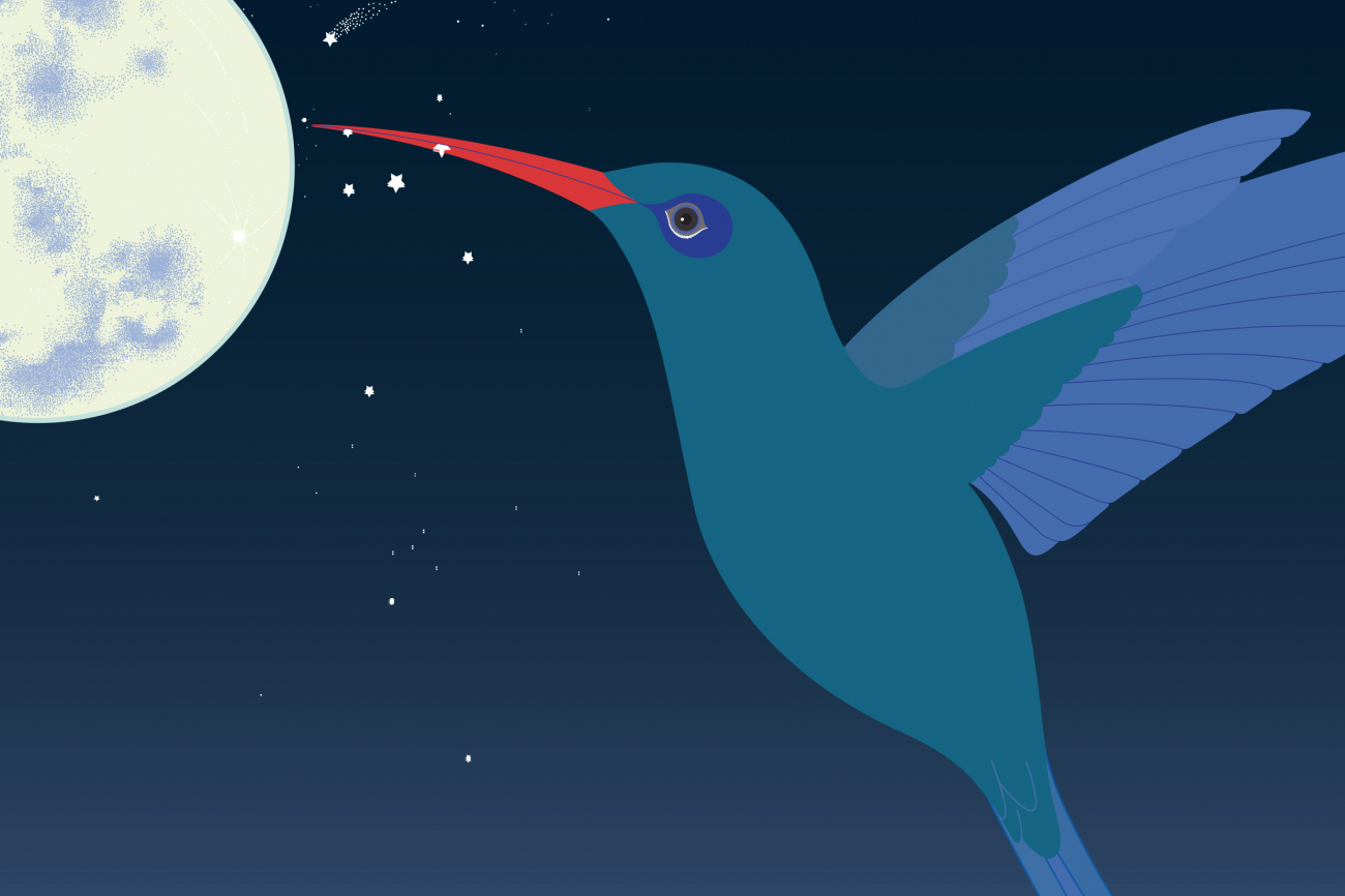 Ein Kolibri, der nach den Sternen greift und zum Mond fliegt