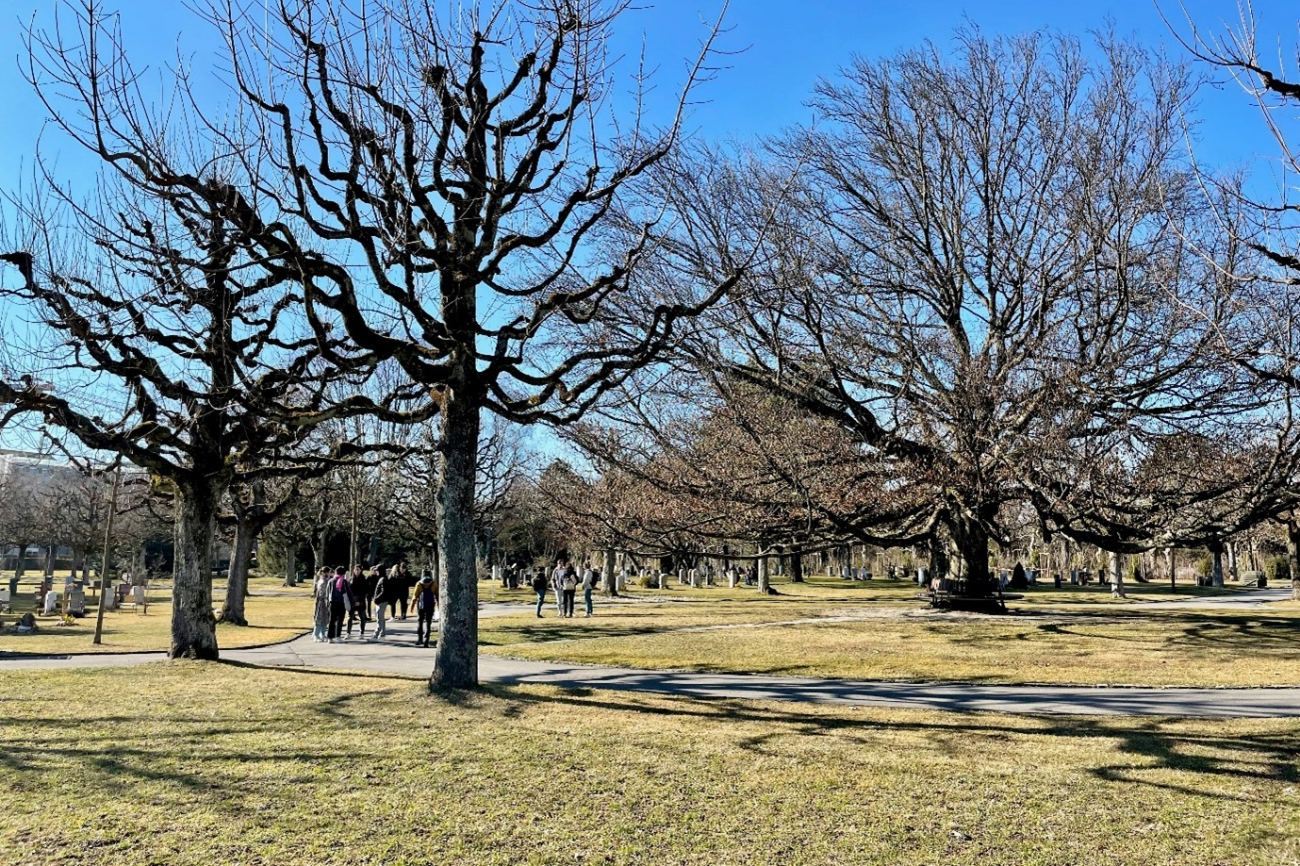 Baum