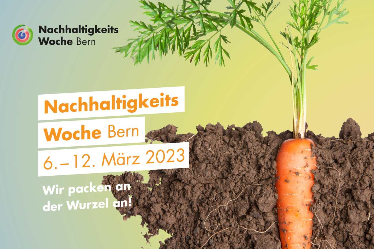 20230221_NHW_Key Visual