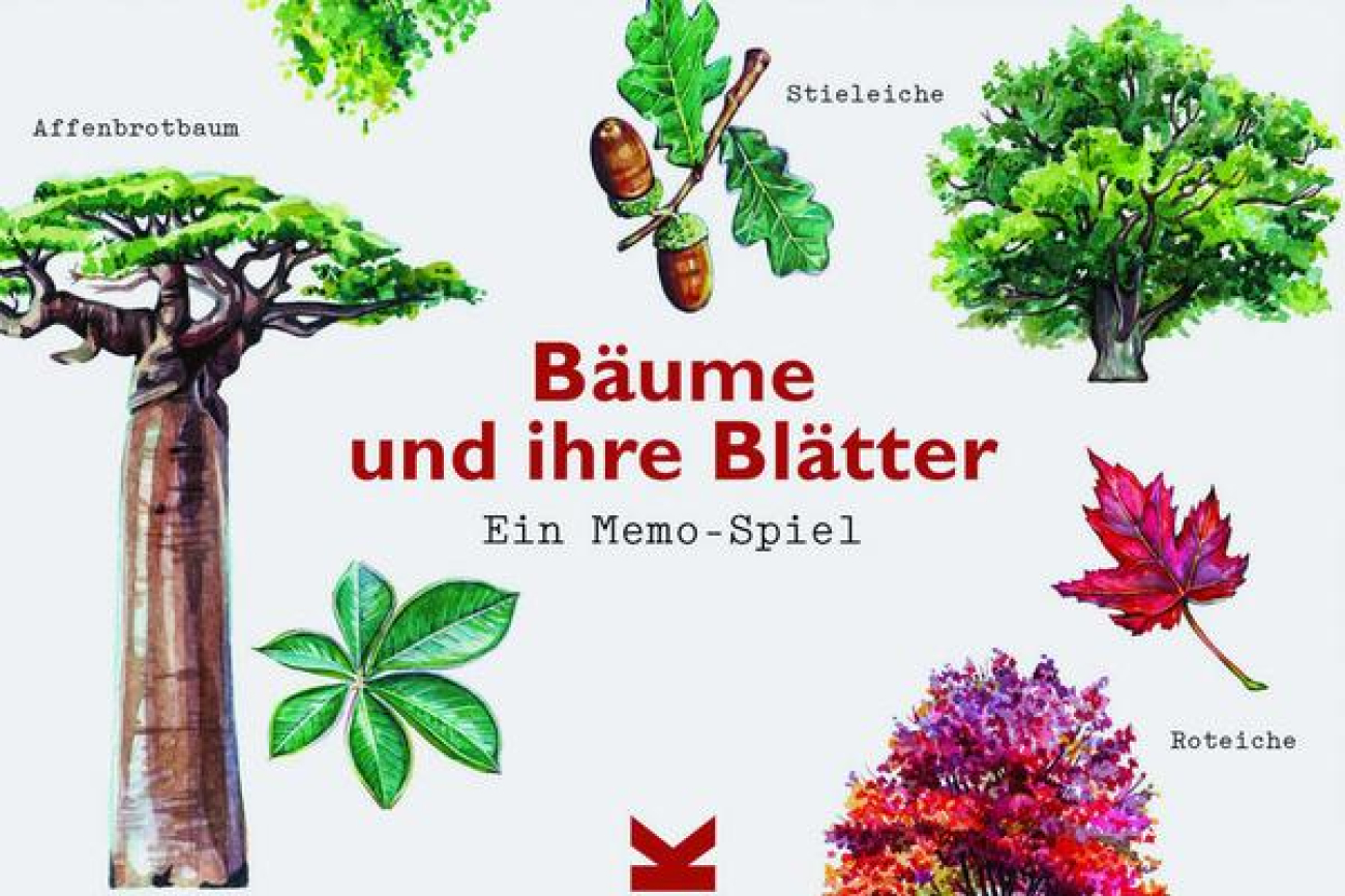 Bäume und ihre Blätter