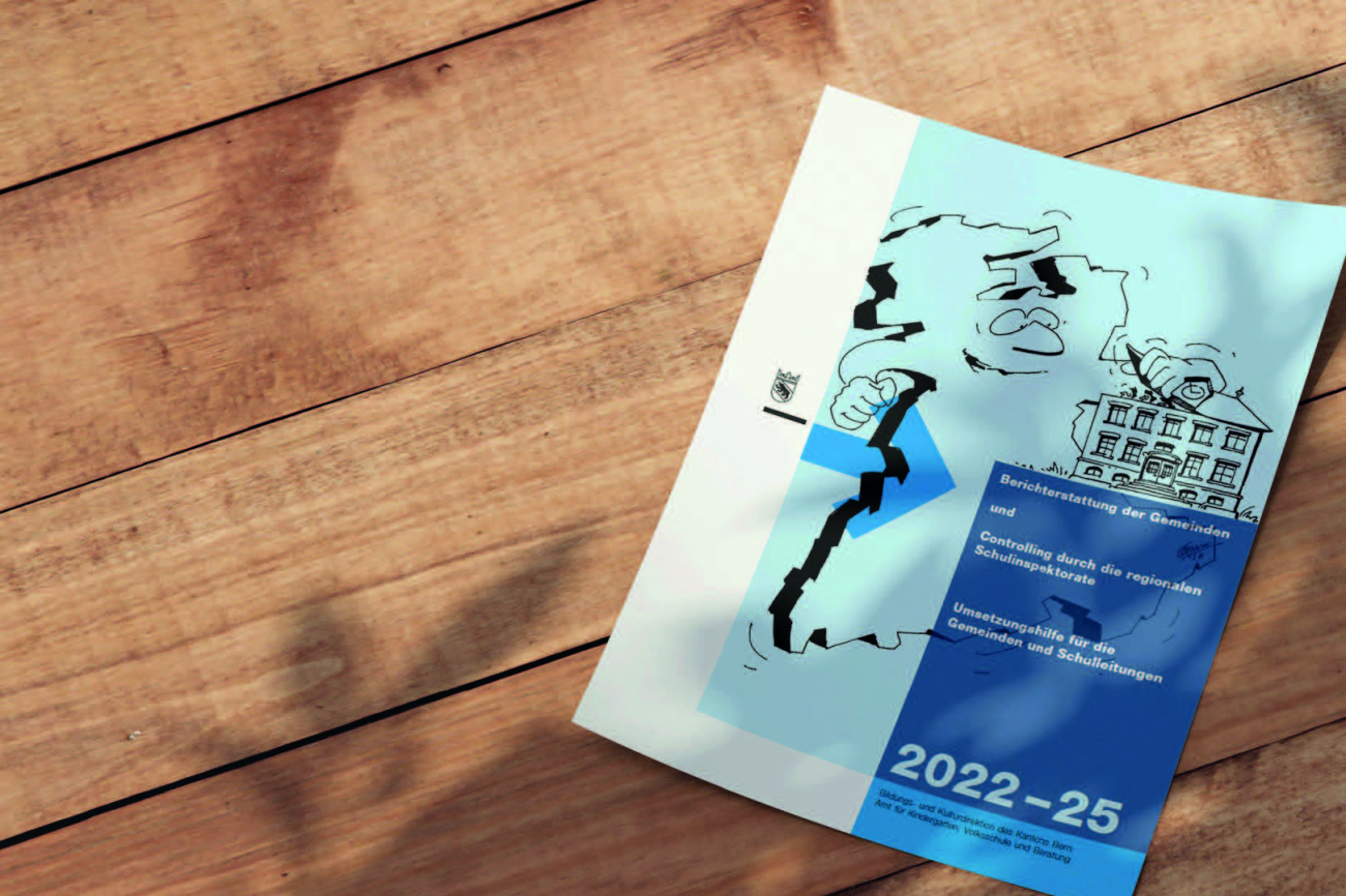 Controlling-Schwerpunkte des Schulinspektorats