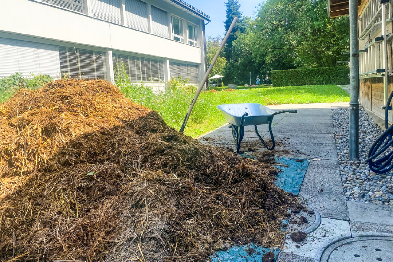 Neuer Lernort der Bildungsgarten der PHBern PHBern