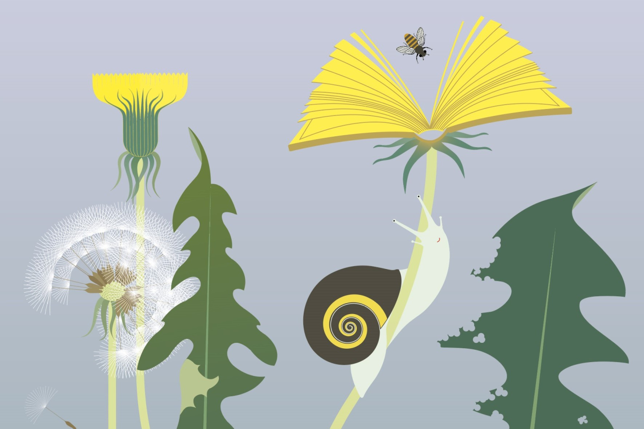 Visual BiblioWeekend 2024