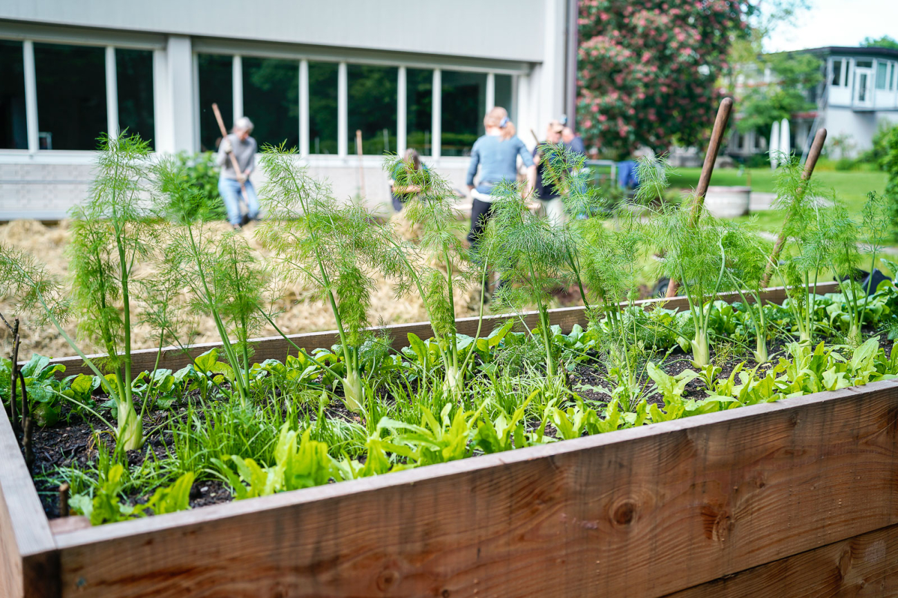 Arbeiten im Bildungsgarten