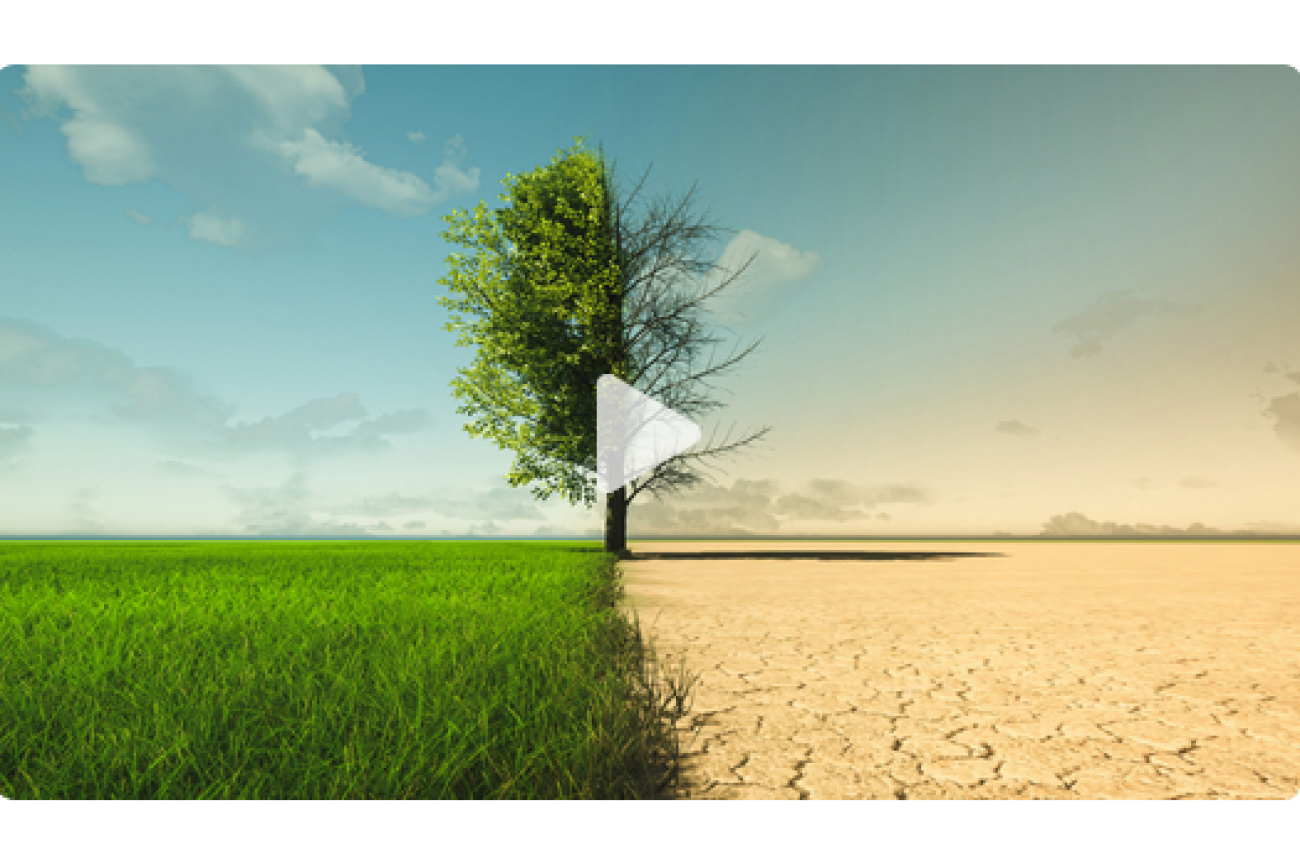 Online-Film_Klimawandel_und_wir