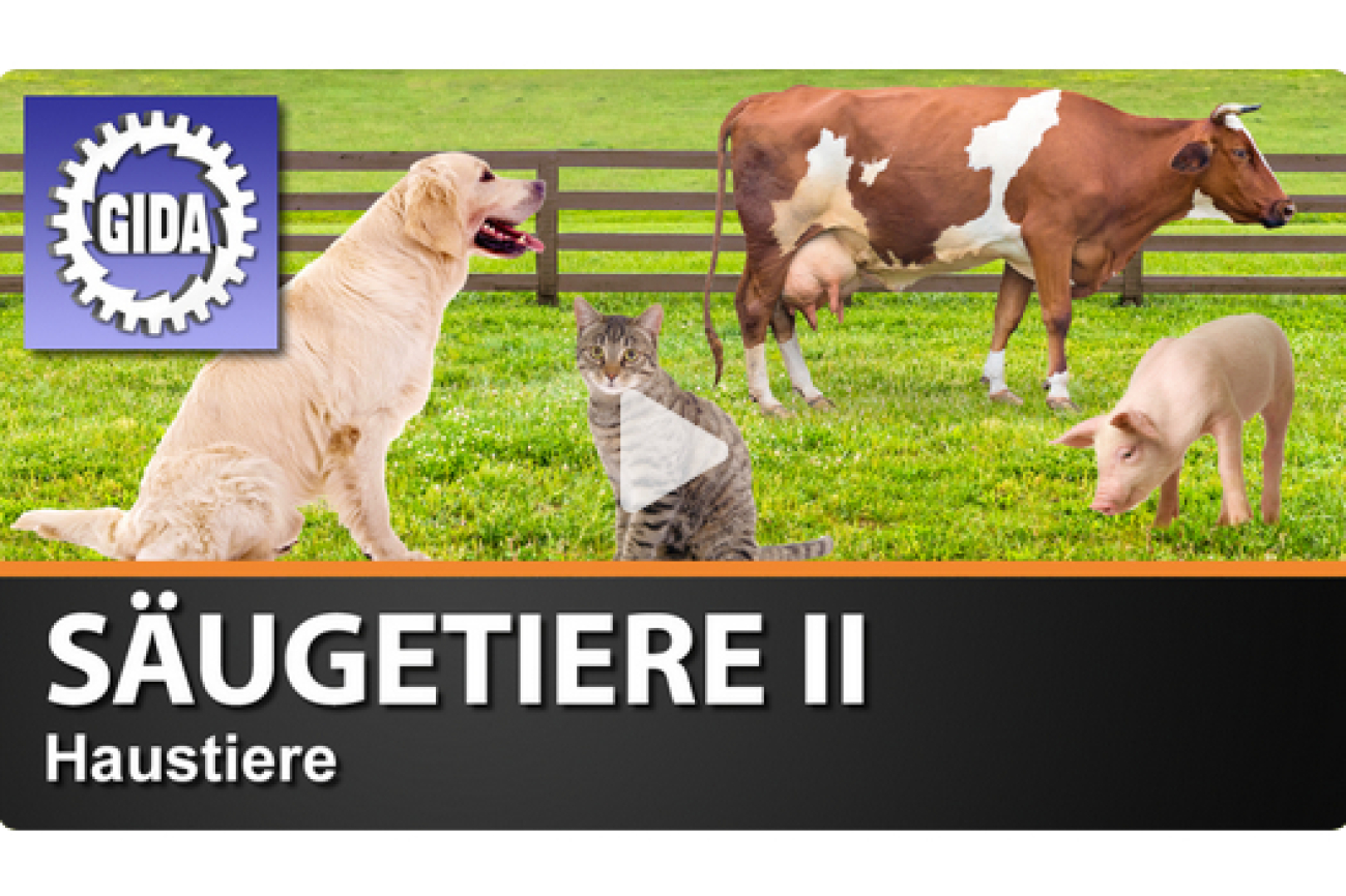 Online-Film_Säugetiere_II