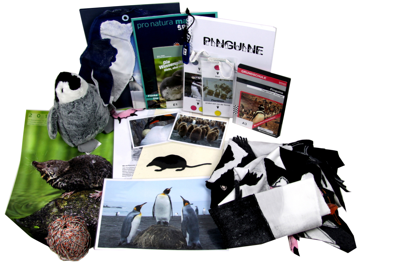 AM1058 Die Antarktis – weisse Heimat der Pinguine