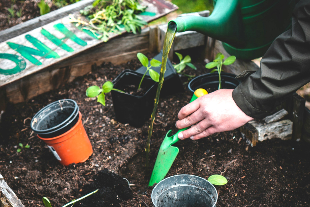 Kinderhände in Erde