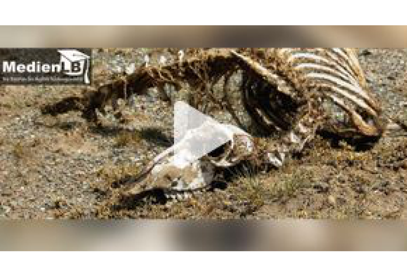 Online-Film_Artensterben