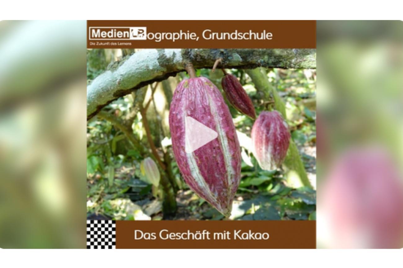 Online-Film_Das_Geschäft_mit_dem_Kakao