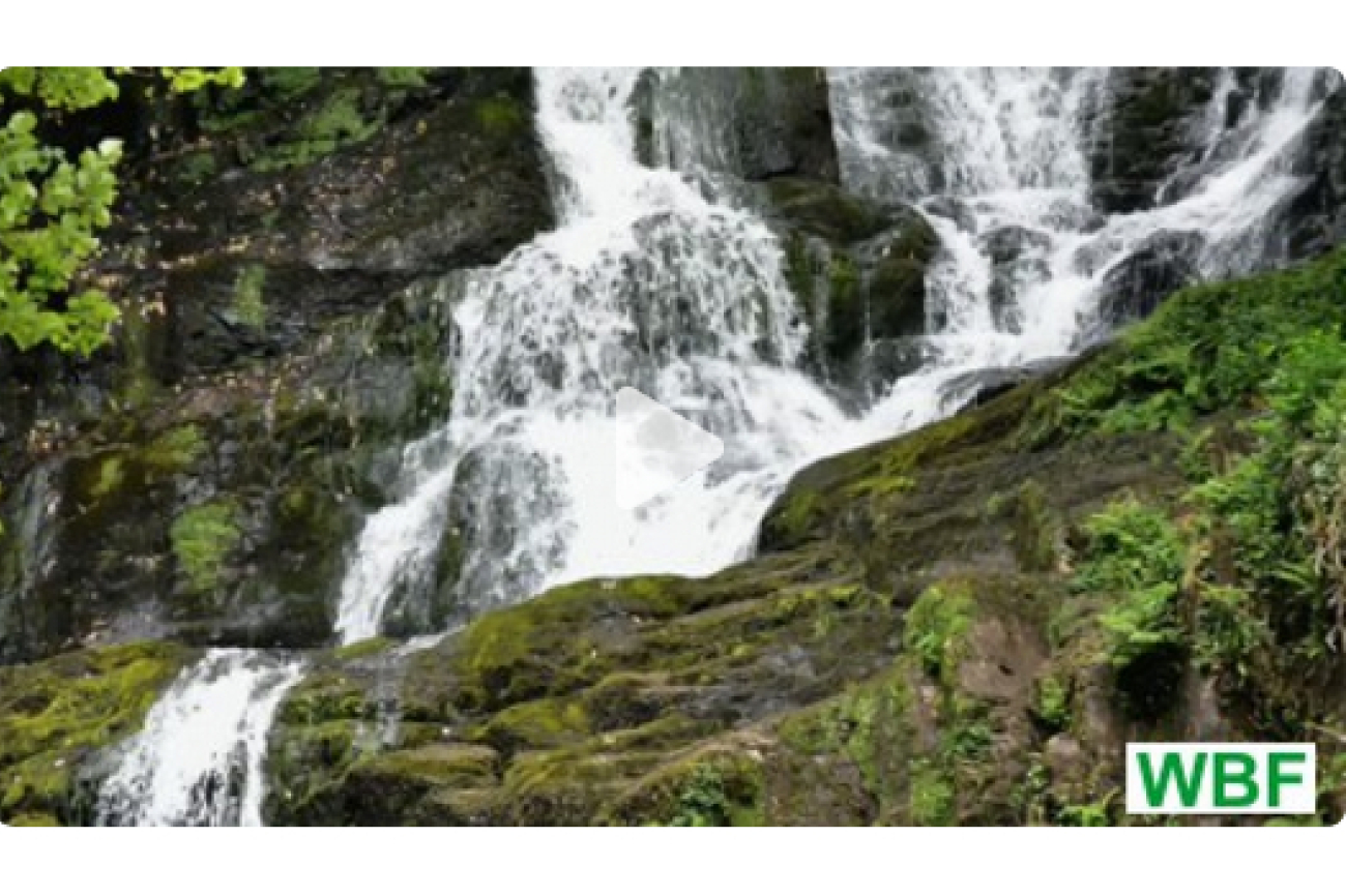 Online-Film_Grundwissen_Rohstoffe_und_Ressourcen_Wasser_1