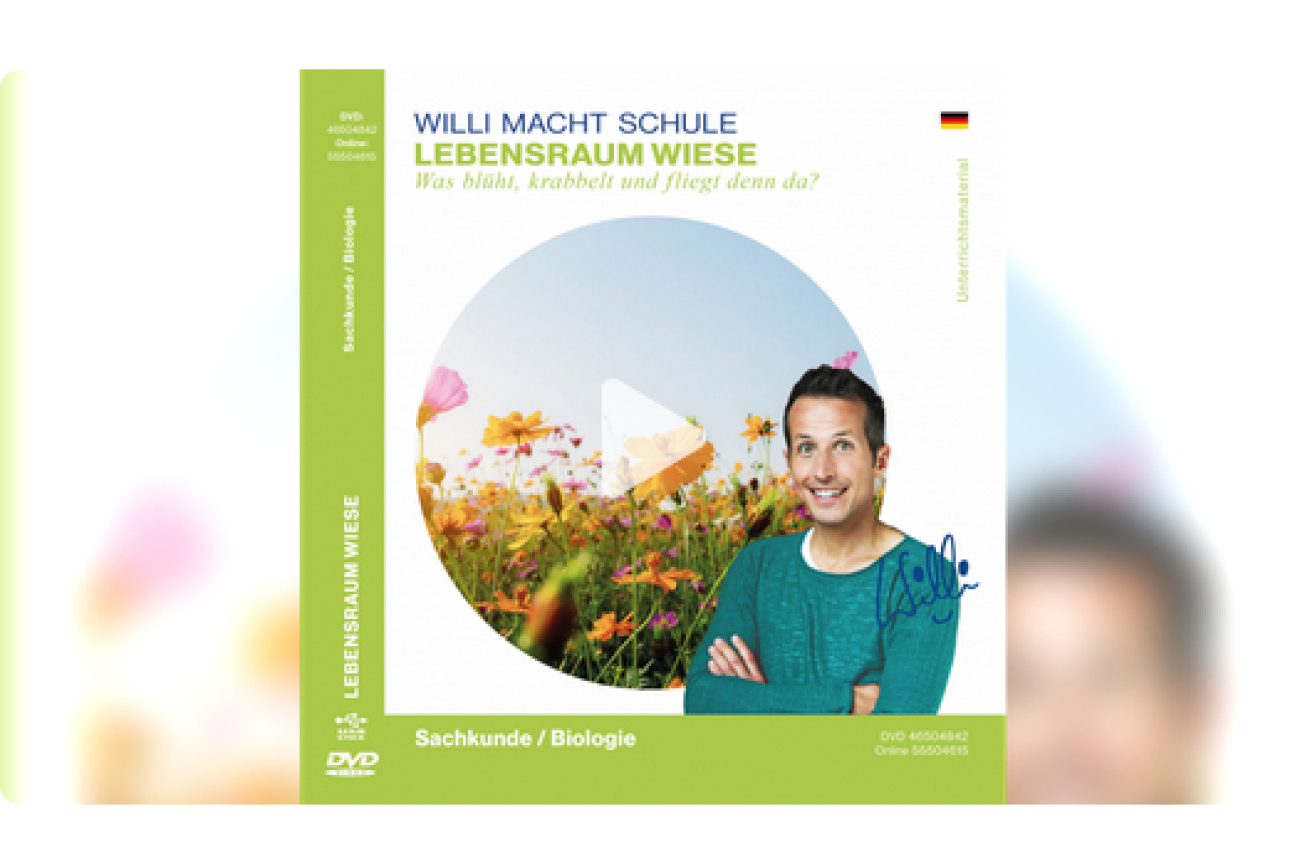 Online-Film_Lebensraum_Wiese