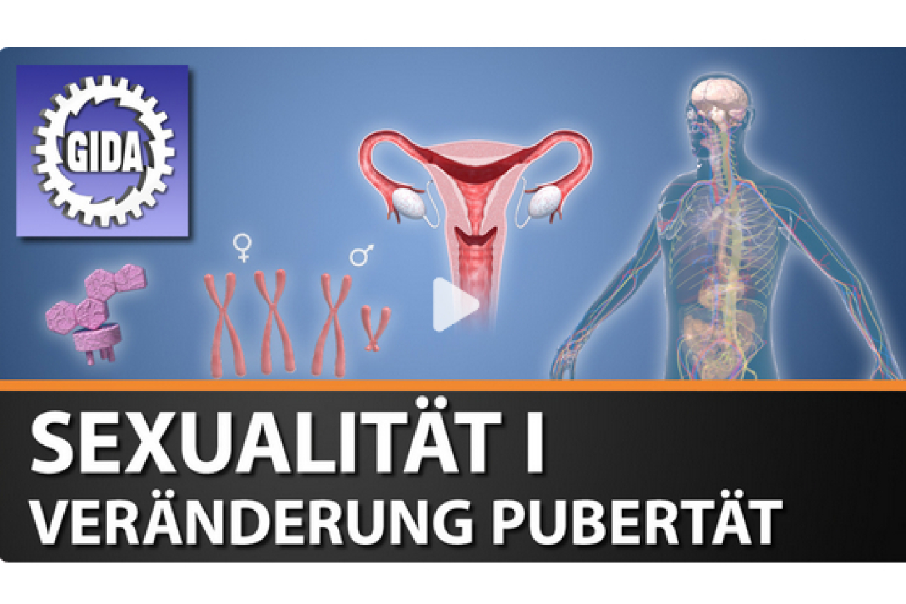 Sexualität 1