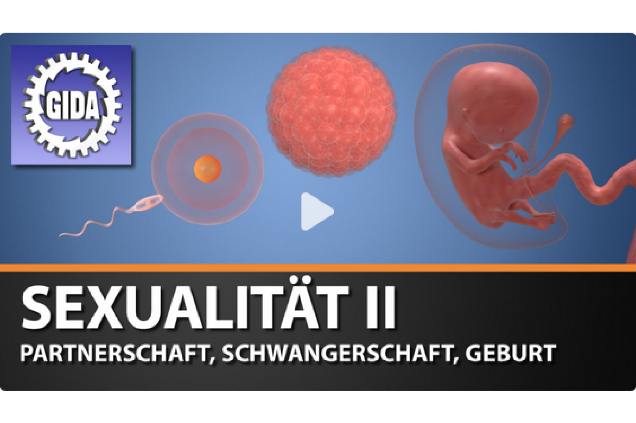 Sexualität 2