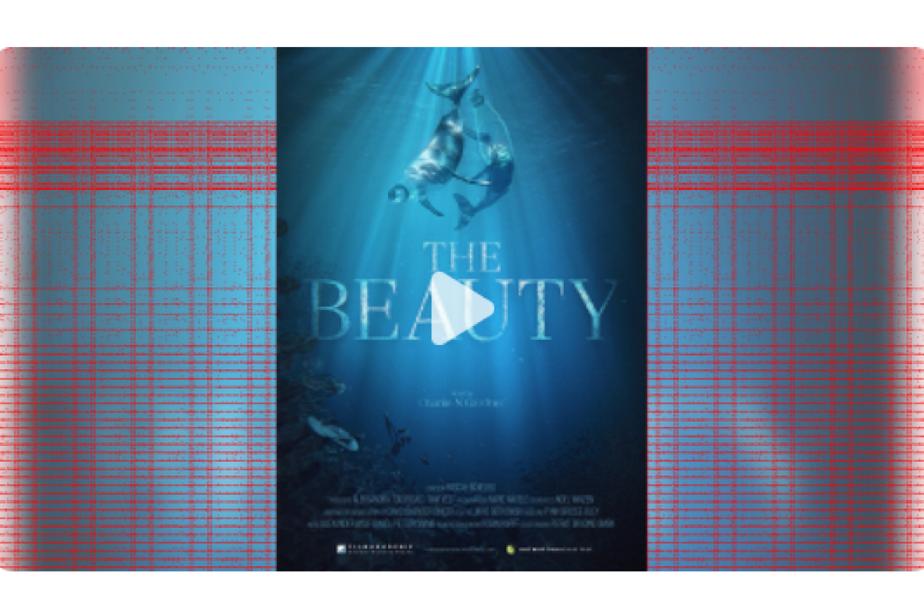 The Beauty