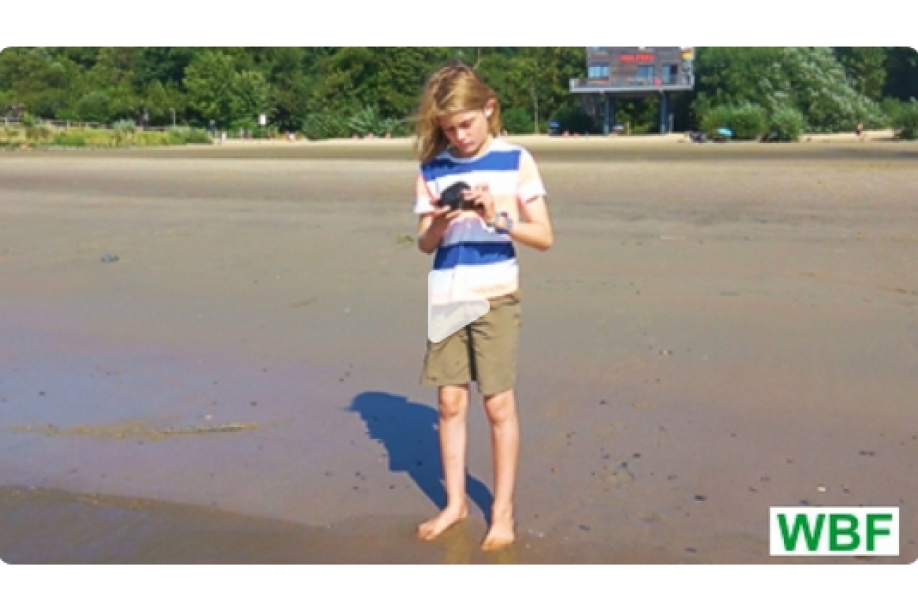 Warum fällt alles nach unten?