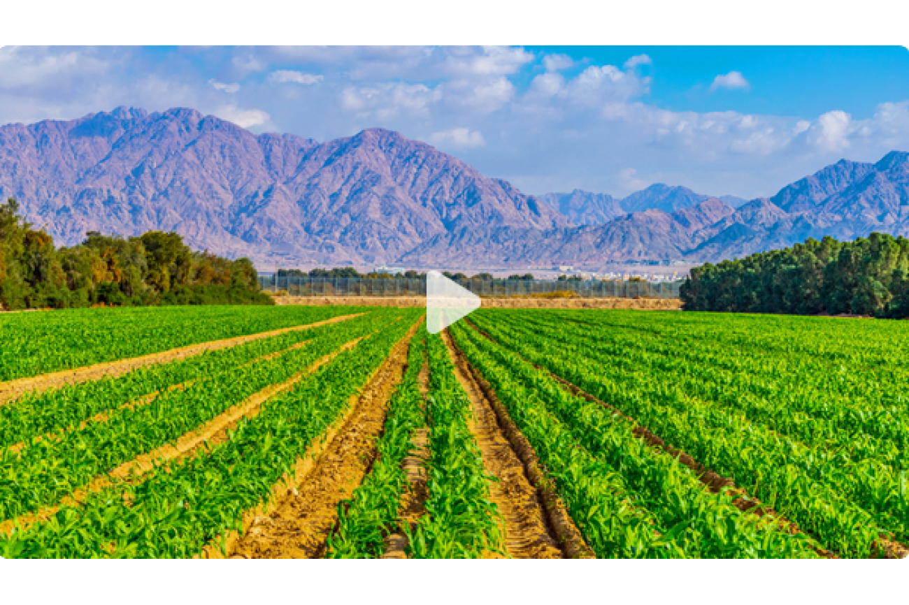 Online-Film_Wasser_als_Waffe