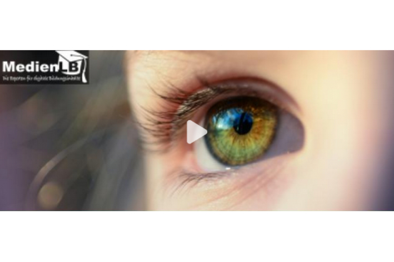 Auge