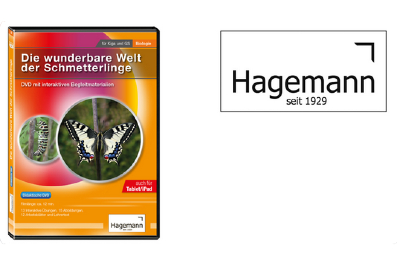 Online-Film_Die wunderbare Welt der Schmetterlinge