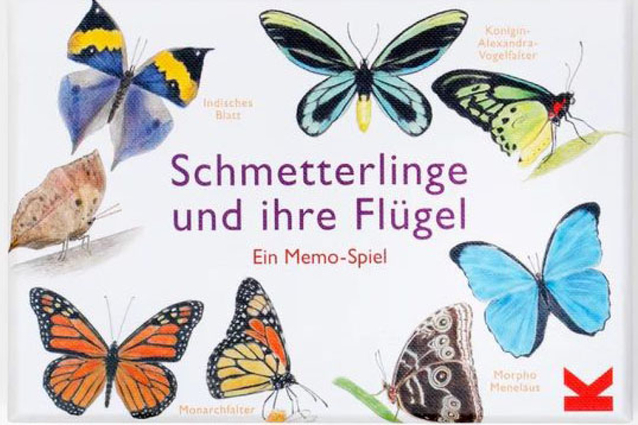 SP210 Schmetterlinge und ihre Flügel