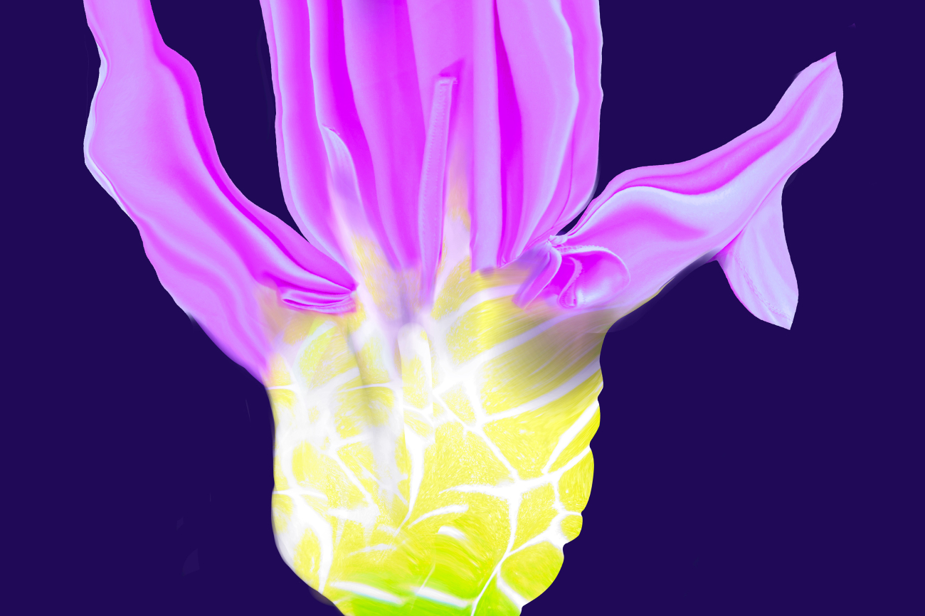 Grafik einer violetten Blume