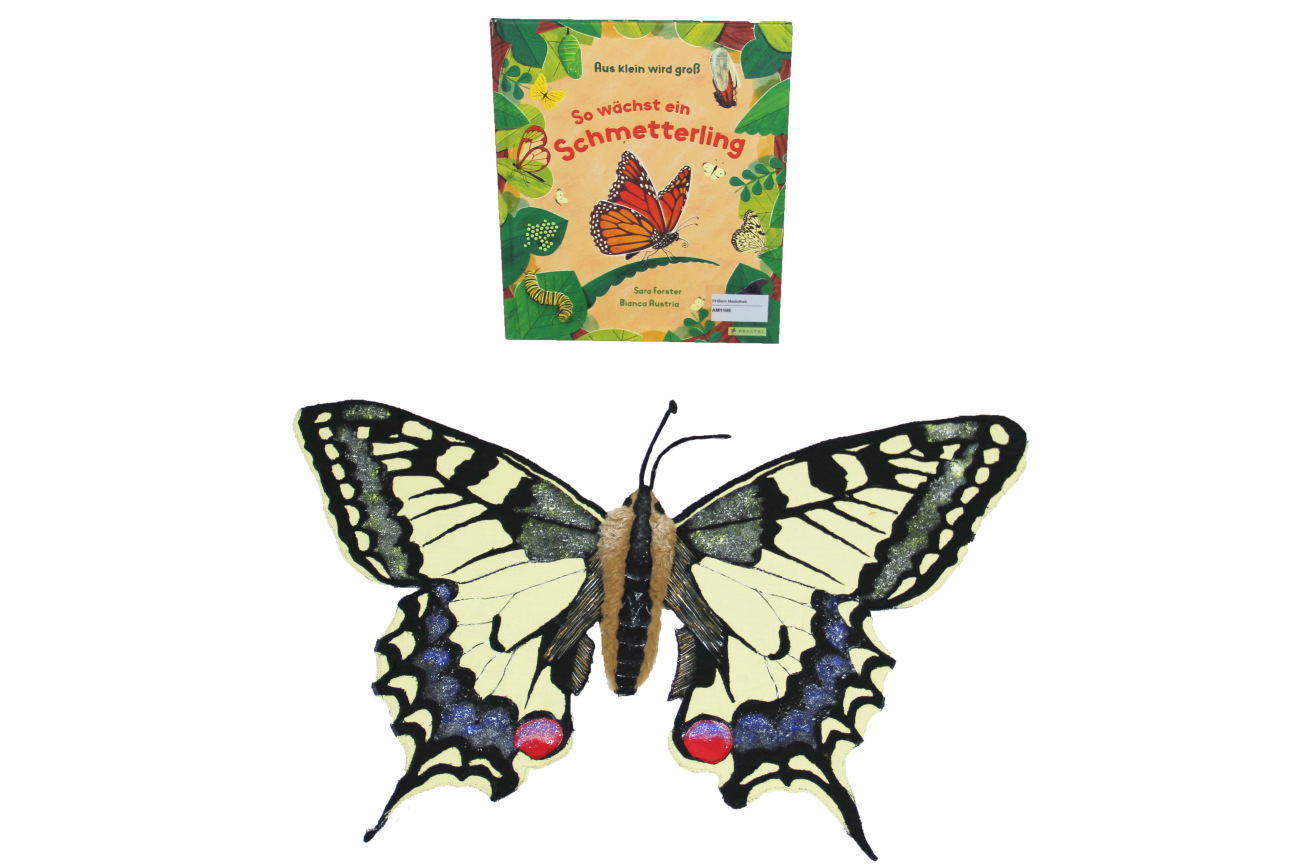 AM1195 Schmetterling Schwalbenschwanz