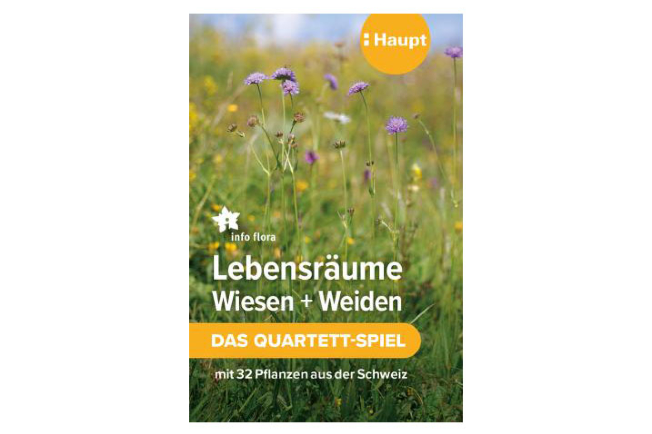 SP213 Lebensraum Wiesen und Weiden