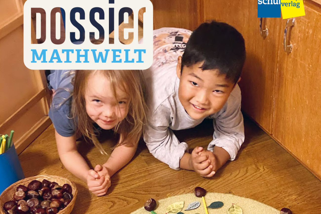 ideenset_dossiermathwelt_schoenemuster_teaser