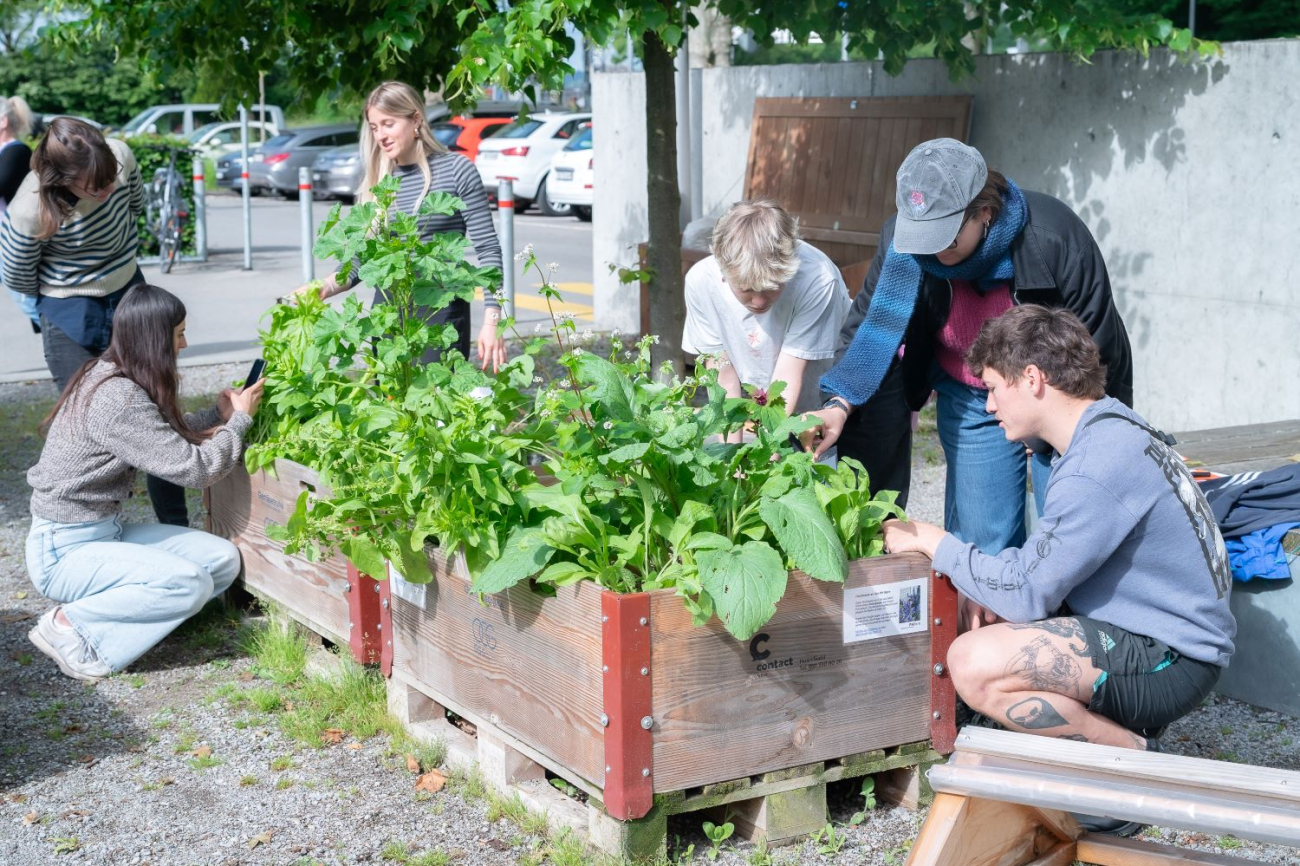 20240528_DSC7240_GKN_angepasst_BNE-Forschung