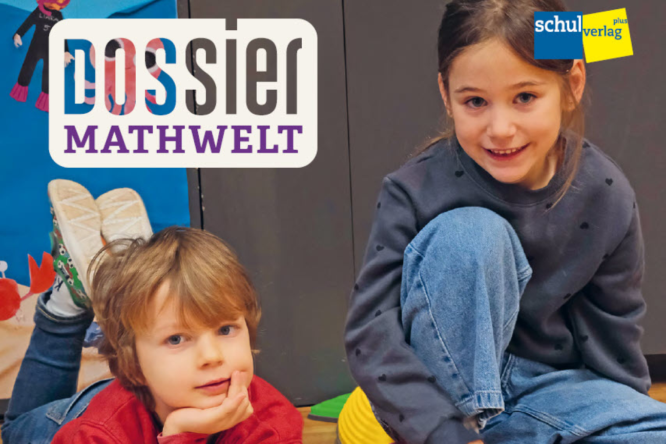 ideenset_dossiermathweltwieviele_teaserbild
