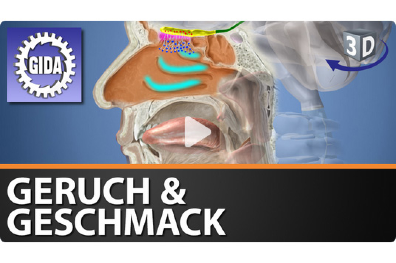 Online-Film_Geruch_und_Geschmack