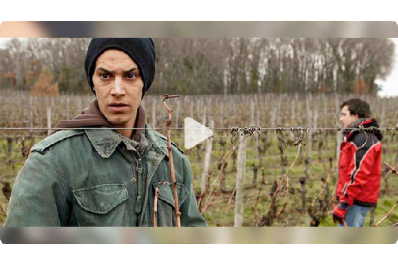 Online-Film_Amsterdam