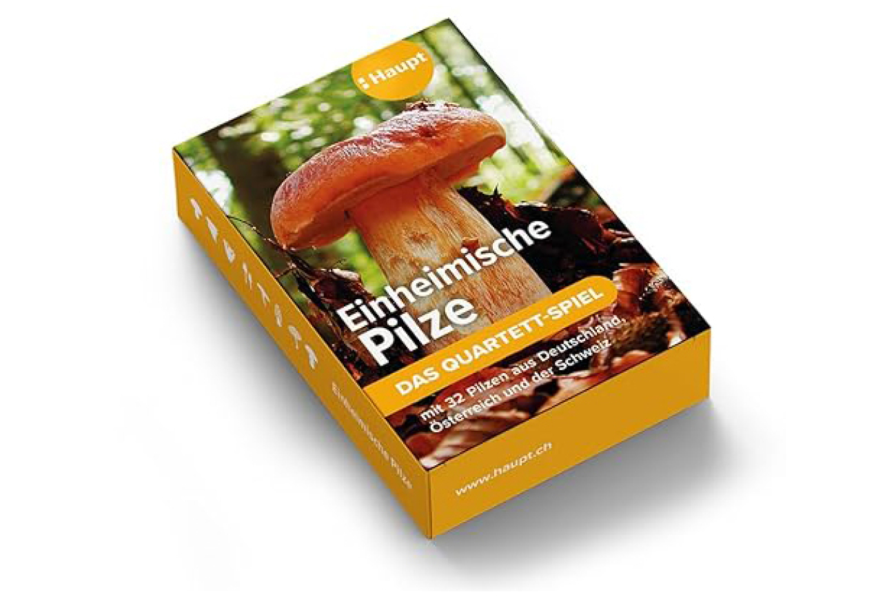 SP228 Einheimische Pilze das Quartett-Spiel