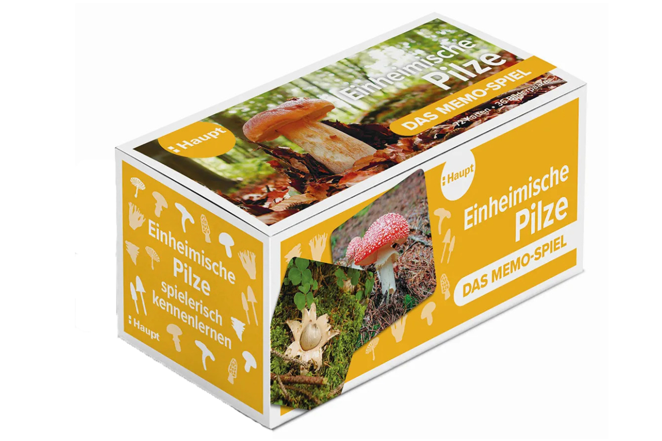 SP229 Einheimische Pilze Das Memo-Spiel