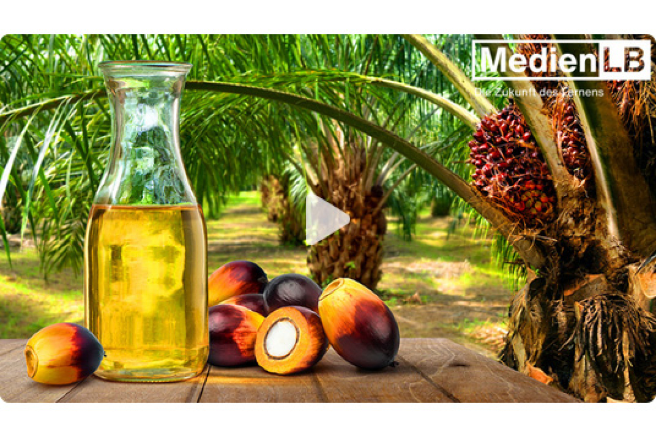 Online-Film_Palmoel