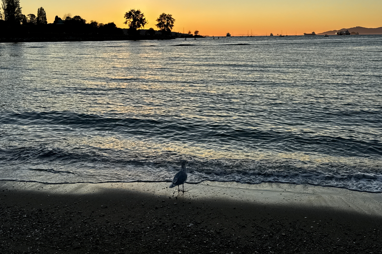 Abendstimmung an einem Gewässer