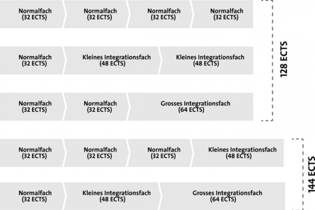 Grafik Fachkombination